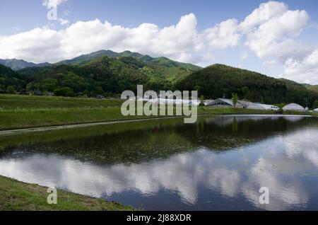 ina, nagano, japan, 2022/14/05 , Reisfelder in Ina, Nagano, im Frühling, während der Überflutung der Felder, so dass sie wie ein Spiegelbild aussehen Stockfoto