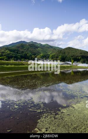 ina, nagano, japan, 2022/14/05 , Reisfelder in Ina, Nagano, im Frühling, während der Überflutung der Felder, so dass sie wie ein Spiegelbild aussehen Stockfoto