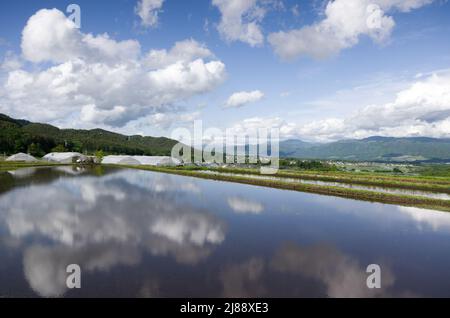 ina, nagano, japan, 2022/14/05 , Reisfelder in Ina, Nagano, im Frühling, während der Überflutung der Felder, so dass sie wie ein Spiegelbild aussehen Stockfoto