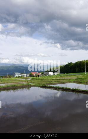 ina, nagano, japan, 2022/14/05 , Reisfelder in Ina, Nagano, im Frühling, während der Überflutung der Felder, so dass sie wie ein Spiegelbild aussehen Stockfoto