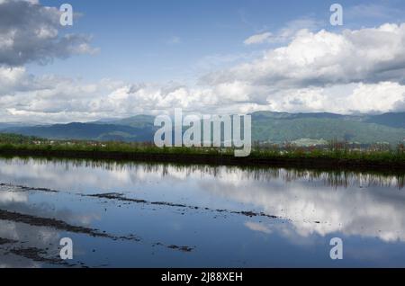 ina, nagano, japan, 2022/14/05 , Reisfelder in Ina, Nagano, im Frühling, während der Überflutung der Felder, so dass sie wie ein Spiegelbild aussehen Stockfoto