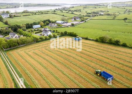 Timoleague, West Cork, Irland. 14.. Mai 2022. O'Donovans, ein in West Cork ansässiges Unternehmen, zeichnet Silage für den Milchbauern Teddy Cullinane auf seiner Farm in Timoleague, West Cork. Quelle: AG News/Alamy Live News Stockfoto