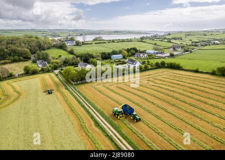 Timoleague, West Cork, Irland. 14.. Mai 2022. O'Donovans, ein in West Cork ansässiges Unternehmen, zeichnet Silage für den Milchbauern Teddy Cullinane auf seiner Farm in Timoleague, West Cork. Quelle: AG News/Alamy Live News Stockfoto