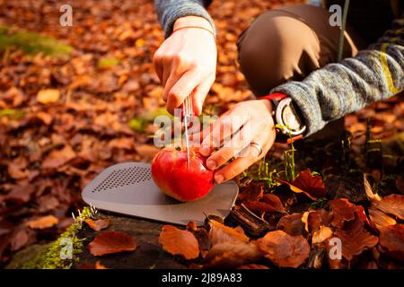 Der Tourist bereitet das Mittagessen mit den Werkzeugen für die Wanderung vor Stockfoto