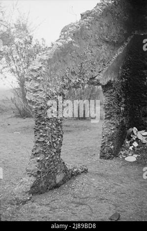 Tabby-Konstruktion. Ruinen der vermeintlichen spanischen Mission, St. Marys, Georgien. Stockfoto