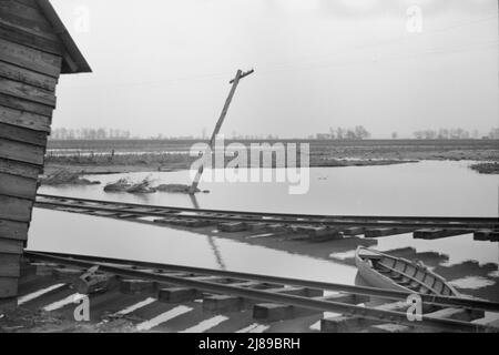 [Foto ohne Titel, möglicherweise verwandt mit: Mit Hochwasser bedeckter Bauernhof in der Nähe von Ridgelei, Tennessee]. Stockfoto