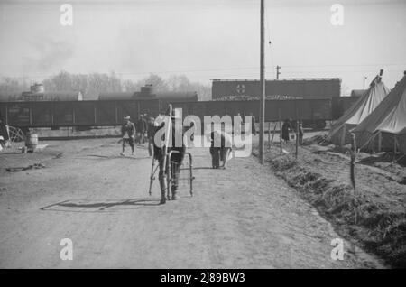 [Foto ohne Titel, möglicherweise in Zusammenhang mit: Flüchtlingslager in Forrest City, Arkansas]. Stockfoto