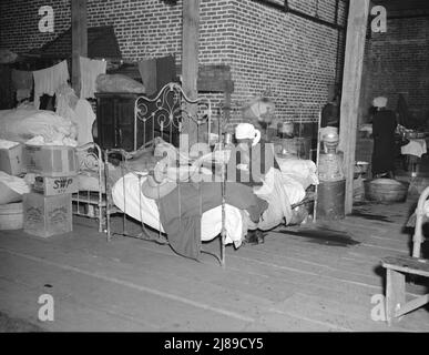 Kranker Flutflüchtling in der temporären Krankenstation des Roten Kreuzes in Forrest City, Arkansas. Stockfoto