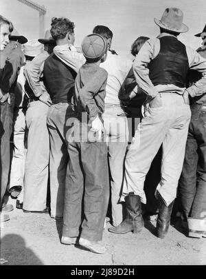 Ballspiel beobachten. Shafter-Lager. Kalifornien. Stockfoto