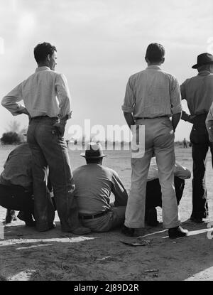 Ballspiel beobachten. Shafter-Lager für Migranten. Kalifornien. Stockfoto