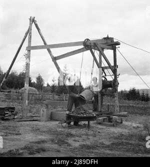 [Untitled, möglicherweise verwandt mit: Kytta Familie, Farm Security Administration (FSA) Kreditnehmer auf nicht-kommerziellen Experiment, bauen einen Brunnen. Michigan Hill, Thurston County, im Westen von Washington. Siehe allgemeine Bildunterschrift 36]. Stockfoto