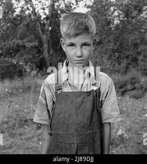 Wandernder Junge im Hausbesetzer-Lager. Ist zum dritten Mal ins Yakima Valley gekommen, um Hopfen zu pflücken. Mutter: "Du würdest überrascht sein, was dieser Junge pflücken kann." Washington, Yakima Valley. Stockfoto