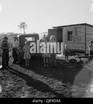 [Ohne Titel, möglicherweise verwandt mit: Oregon, Marion County, nahe West Stayton. Kinder der Bohnensammler im Lager am Ende des Tages]. Stockfoto