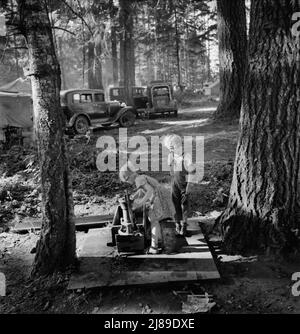 Oregon, Marion County, in der Nähe von West Stayton. Kinder in großen privaten Bohnenpflückern lagern. Die Pflücker kamen aus vielen Staaten, von Oklahoma bis North Dakota. Stockfoto