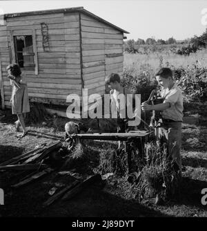 [Ohne Titel, möglicherweise verwandt mit: Oregon, Marion County, nahe West Stayton. Kinder der Bohnensammler im Lager am Ende des Tages]. Stockfoto