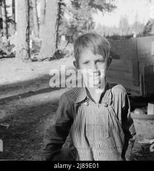 [Ohne Titel, möglicherweise verwandt mit: Oregon, Marion County, nahe West Stayton. Kind des Bean Picker. Wir kamen gerade aus der Nähe von Joplin, Missouri, an. Frage: "Warum sind Sie dort weggegangen?" Antwort: „Wir konnten es nicht schaffen.“]. Stockfoto