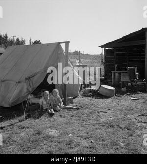 [Ohne Titel, möglicherweise in Zusammenhang mit: Lager der Bohnensammler im Hof des Anbauers. Kein fließendes Wasser. Marion County, in der Nähe von West Stayton, Oregon. Stockfoto