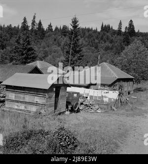 Western Washington, Grays Harbor County, Malone, Washington. Firmenhäuser der geschlossenen Mühle, heute hauptsächlich von Arbeitern der Works Projects Administration (WPA) besetzt. Stockfoto