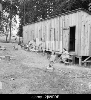 Oregon, Josephine County, in der Nähe von Grants Pass. Ein Zimmer pro Familie in rauen Holzbaracken auf dem Grundstück des Anbauers. Kein fließendes Wasser im Lager. Hopfenranch. Stockfoto