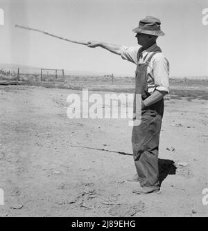 [Ohne Titel, möglicherweise verwandt mit: Chris Ament, deutsch-russischer Weizenbauer für trockenes Land, der im Columbia Basin überlebt hat. Washington, Grant County, 5 km südlich von Quincy.] Stockfoto