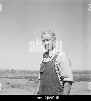 Chris Ament, deutsch-russischer Weizenbauer für trockenes Land, der im Columbia Basin überlebt hat. Washington, Grant County, 5 km südlich von Quincy. Stockfoto