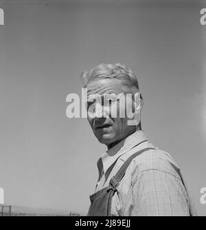 Chris Ament, deutsch-russischer Weizenbauer für trockenes Land, der im Columbia Basin überlebt hat. Washington, Grant County, 5 km südlich von Quincy. Stockfoto