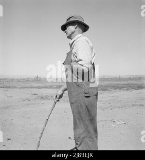 [Ohne Titel, möglicherweise verwandt mit: Chris Ament, deutsch-russischer Weizenbauer für trockenes Land, der im Columbia Basin überlebt hat. Washington, Grant County, 5 km südlich von Quincy.] Stockfoto