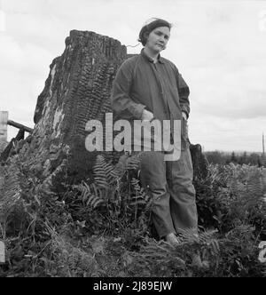 [Ohne Titel, möglicherweise im Zusammenhang mit: Frau Arnold, zweiunddreißig Jahre alt, macht menschliche Arbeit auf dem rauen und stumpigen Land, um eine Farm zu bauen. Western Washington, Thurston County, Michigan Hill. Siehe allgemeine Bildunterschrift 36]. Stockfoto