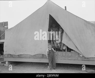 Brawley, Imperial Valley. In der Farm Security Administration (FSA) Wanderarbeitslager. Familie von Mutter, Vater und elf Kindern, ursprünglich aus der Nähe von Mangrum, Oklahoma, wo er Pächter gewesen war. Kam 1936 nach der Dürre nach Kalifornien. Seitdem ist er nach der Ernte von Ernte zu Ernte in Kalifornien gereist. Sechs der elf Kinder besuchen die Schule, wo die Familie lange genug anhält. Fünf ältere Kinder arbeiten mit Vater und Mutter zusammen. Am 23. Februar haben zwei Familienmitglieder Glück gehabt und "einen Platz" (einen Tag Arbeit) in den Erbsen auf der Sinclair Ranch bekommen. Stockfoto