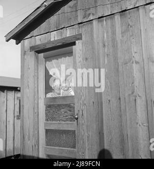 Großmutter und Enkelkind. Greenfield, Salinas Valley, Kalifornien. Von der Bauernfamilie, die ursprünglich in Missouri, dann in Iowa, war. Migranten nach Kalifornien. Stockfoto