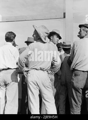 Ballspiel beobachten. Shafter-Lager. Kalifornien. Stockfoto