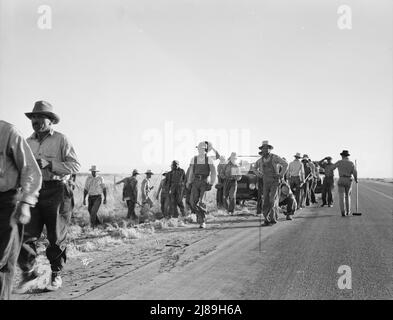 In Der Nähe Von Los Banos, Kalifornien. Wanderarbeitnehmer in der Landwirtschaft. Baumwollhosen verlassen das Feld am Ende des Tages. Der Lohn beträgt 20 Cent pro Stunde. Stockfoto