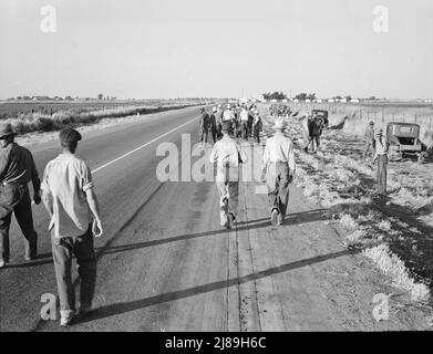 In Der Nähe Von Los Banos, Kalifornien. Wanderarbeitnehmer in der Landwirtschaft. Baumwollhose. Verlassen Sie das Feld am Ende des Tages. Der Lohn beträgt 20 Cent pro Stunde. Stockfoto