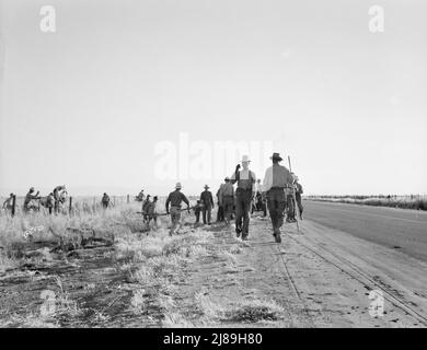 In Der Nähe Von Los Banos, Kalifornien. Wanderarbeitnehmer in der Landwirtschaft. Baumwollhose. Verlassen Sie das Feld am Ende des Tages. Der Lohn beträgt 20 Cent pro Stunde. Stockfoto