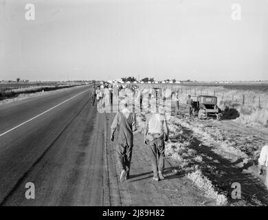 In Der Nähe Von Los Banos, Kalifornien. Wanderarbeitnehmer in der Landwirtschaft. Baumwollhose. Verlassen Sie das Feld am Ende des Tages. Der Lohn beträgt 20 Cent pro Stunde. Stockfoto