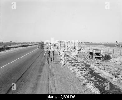 In Der Nähe Von Los Banos, Kalifornien. Wanderarbeitnehmer in der Landwirtschaft. Baumwollhose. Verlassen Sie das Feld am Ende des Tages. Der Lohn beträgt 20 Cent pro Stunde. Stockfoto