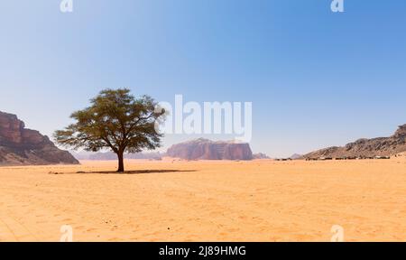 Wadi Rum im südlichen Jordanien. Es liegt etwa 60 km östlich von Aqaba. Wadi Rum hat zu seiner Ernennung zum UNESCO-Weltkulturerbe und zu i geführt Stockfoto