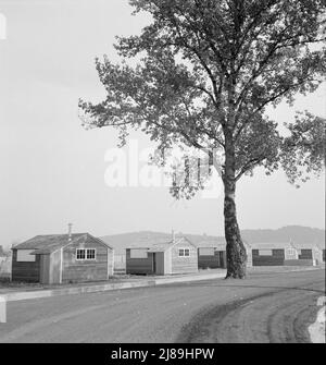 Zeigt eine neue Art von Holzunterkünften für Wanderarbeiter. Lager der FSA (Farm Security Administration). In der Nähe von McMinnville, Oregon. Stockfoto