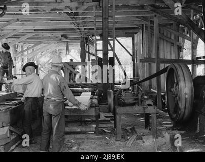 [Ohne Titel, möglicherweise verwandt mit: Das Sägewerk in Betrieb. Es wurde von den Bauern-Mitgliedern des Ola-Selbsthilfe-Sägewerks Co-op. Gebaut Gem County, Idaho]. Stockfoto