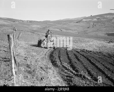 Junger Bauer, Mitglied der Ola-Selbsthilfe-Sägewerk Co-op, pflügen, während andere im Sägewerk arbeiten. Gem County Idaho. Stockfoto