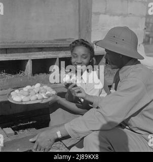 Daytonas Beach, Florida. Bethune-Cookman College. Schüler lernen Geflügelmethoden auf landwirtschaftlichem Schulhof. Stockfoto