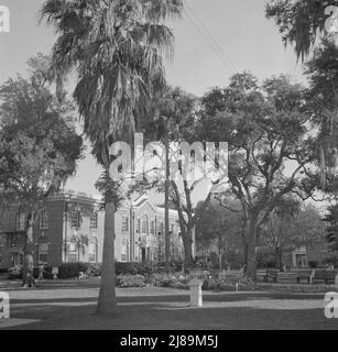 Daytonas Beach, Florida. Bethune-Cookman College. Stockfoto