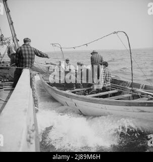 [Foto ohne Titel, möglicherweise verwandt mit: An Bord des Fischerbootes Alden, aus Gloucester, Massachusetts. Fischer ruhen sich nach einem 24-stündigen Training aus. Katholische Bilder sind über ihren Kojen]. Stockfoto