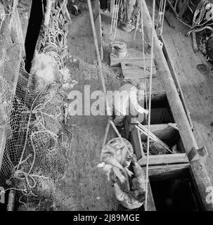 New York, New York. Legen Sie Stevedores am Fulton-Fischmarkt an, und schicken Sie Körbe mit Fisch aus den Laderäumen der Boote zu den Docks, wo er gekauft, in Fässern gelagert und in Eis verpackt wird, um ihn an Großhändler zu liefern. Stockfoto