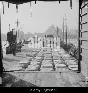 New York, New York. Fässer mit Fisch an den Docks am Fulton Fischmarkt, bereit für den Versand an Einzelhändler und Großhändler. Stockfoto