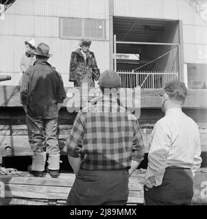 New York, New York. Die Familien der Fischer machen oft Reisen von den Städten in New England nach New York, wenn die Schiffe ankommen. Die Fischer halten nichts für zu gut für ihre Familien. Stockfoto