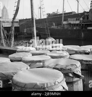 New York, New York. Fischfässer an den Docks am Fulton-Fischmarkt, die an Einzelhändler ausgeliefert werden können. Stockfoto