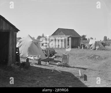 Lager der Bohnensammler im Hof des Anbauers. Kein fließendes Wasser. Oregon, Marion County, in der Nähe von West Stayton. Stockfoto