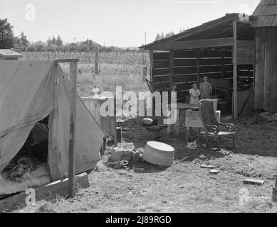 [Ohne Titel, möglicherweise in Zusammenhang mit: Lager der Bohnensammler im Hof des Anbauers. Kein fließendes Wasser. Marion County, in der Nähe von West Stayton, Oregon. Stockfoto