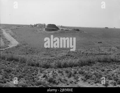 Landschaft mit der Heimat des Kreditnehmers der FSA (Farm Security Administration): Salbei-Busch, Heufeld, Gehöft und Rinder auf Weiden. Nyssa Heights, Malheur County, Oregon. Stockfoto